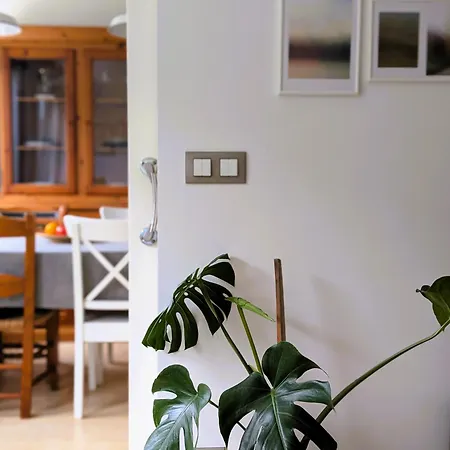 Surf And Art Parking Gratuito Vut2216as Apartamento Oviedo